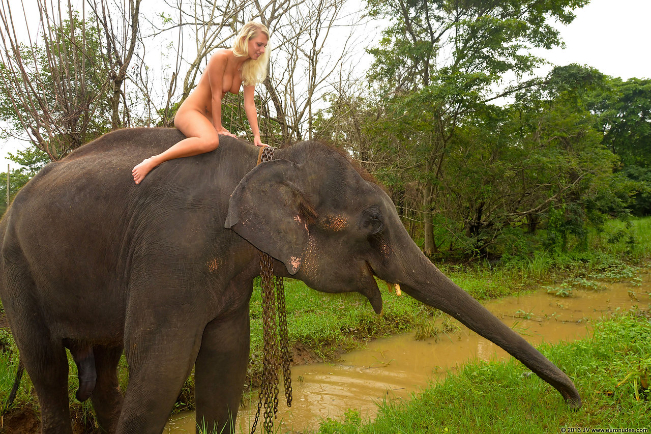 Slideshow elephant fucking women image 